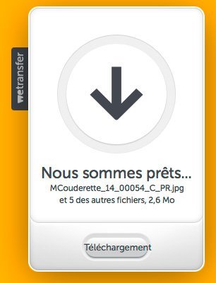 wetransfer4d wetransfer